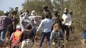 هآرتس: 704 اعتداءات للمستوطنين ضد الفلسطينيين حتى أكتوبر
