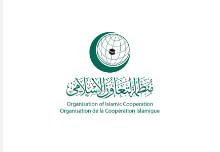 كيف طالبت قطر بتطبيق قرار مجلس الأمن 2803 لضمان انسحاب الاحتلال وإعادة إعمار غزة؟