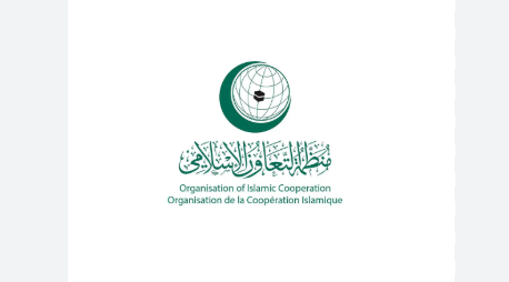 قرار الاحتلال منع المنظمات الدولية من العمل في غزة: أبعاده الإنسانية والقانونية ودور منظمة التعاون الإسلامي