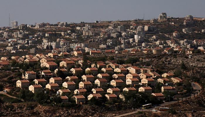 بتغطية من جيش الاحتلال.. مستوطنو الخليل يدمرون الأمن الغذائي الفلسطيني في منطقة سوسيا