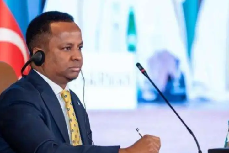 وزير الخارجية الصومالي: سيادتنا خط أحمر ووحدة أراضينا لا تغيرها العوامل الخارجية