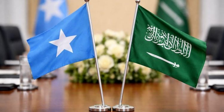 somali-750x375