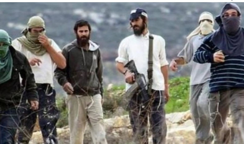 مستوطنون يقتلعون الوجود الفلسطيني شرق رام الله بمباركة قوات الاحتلال