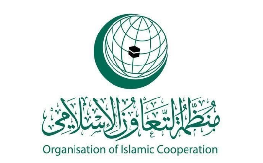 منظمة التعاون الإسلامي تحذر: مجازر الاحتلال في غزة تهدف لتقويض اتفاق وقف إطلاق النار