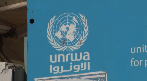 الأونروا.. شاهد وشهيد