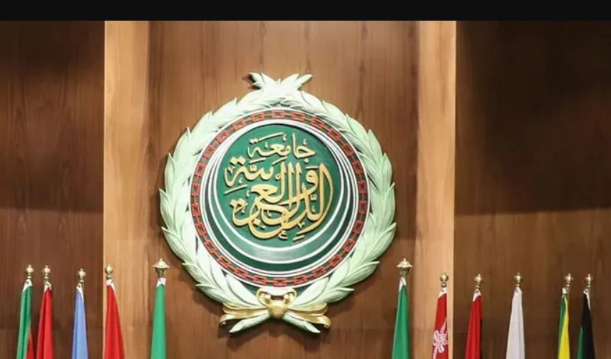 جامعة الدول العربية: هل فقدت مؤسساتها دورها التنموي؟