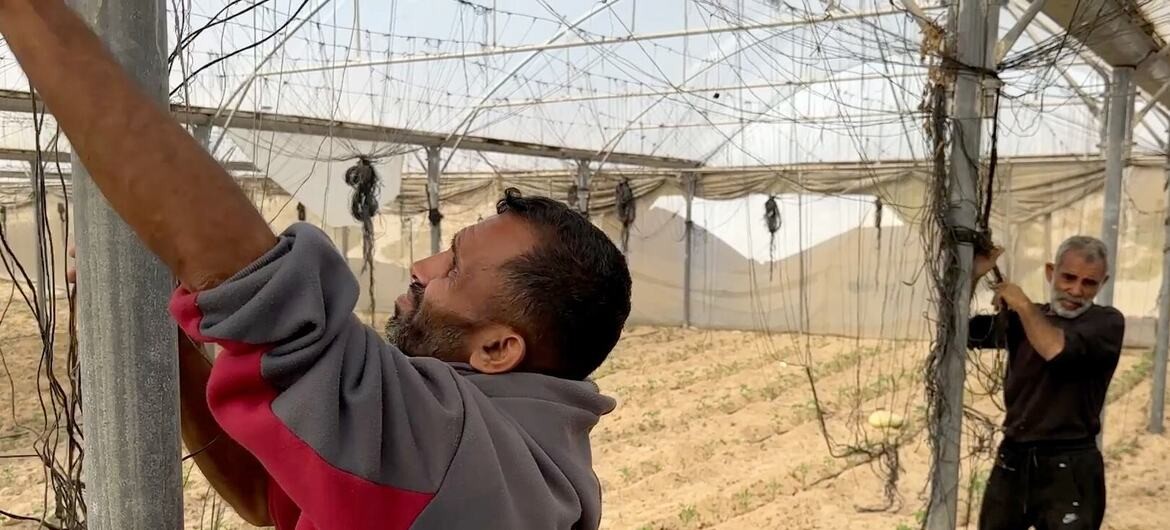 محمد مصطفى شاهين يكتب: العامل الفلسطيني بين مطرقة البطالة وسندان الحرب جريمة إفقار ممنهجة