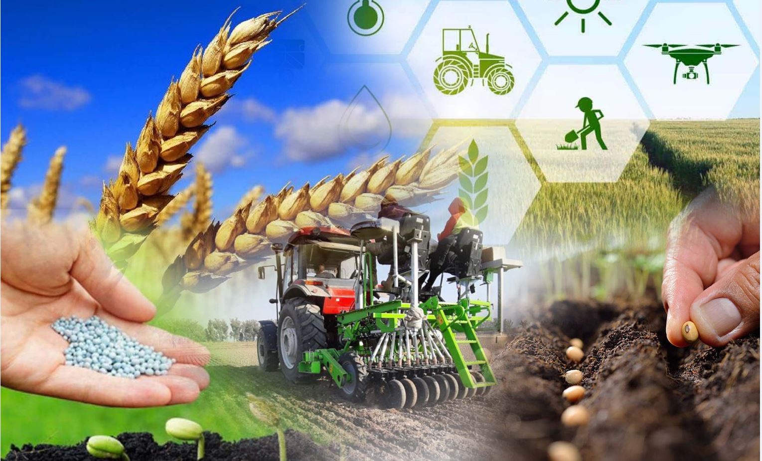 تحقيق الاكتفاء الذاتي