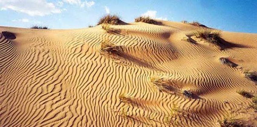 التصحر.. الحاضر الغائب